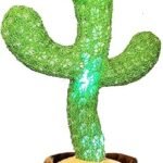 Fun Pbooo Dancing Cactus: Sing, Dance & Record!
