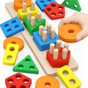 Montessori Wooden Sorting & Stacking Toys for Toddlers